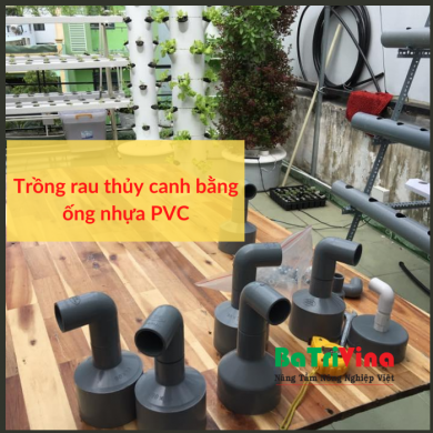 Những điều cần biết về cách trồng rau thuỷ canh bằng ống nhựa PVC